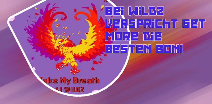 Beste spiele wildz