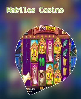 Dog house casino gratis